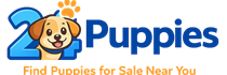 24Puppies